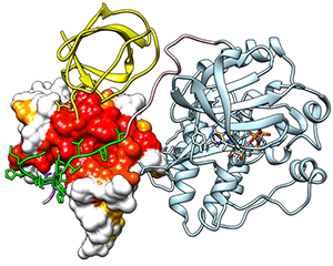 CompBio Division